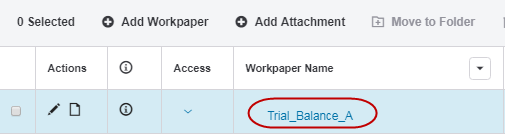 Screen capture showing the Workpaper Name link.